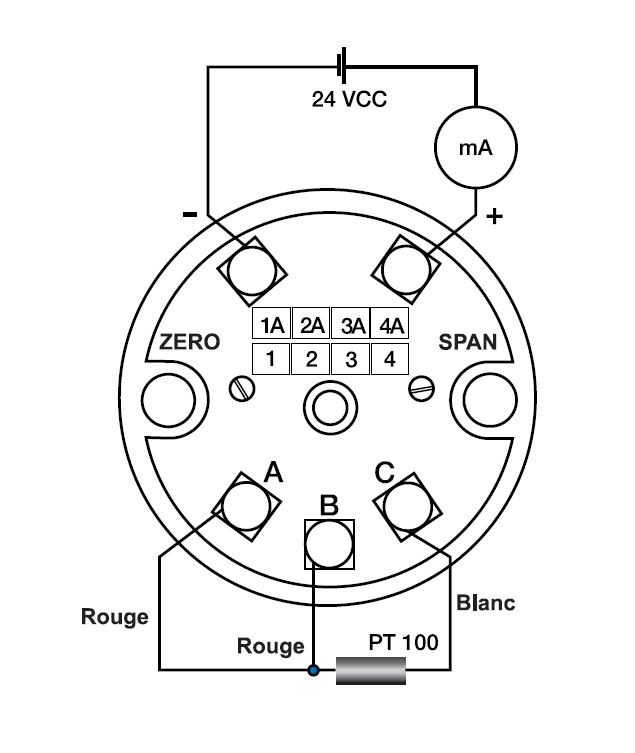 Sonde PT100 avec transmetteur de température - Instruments de